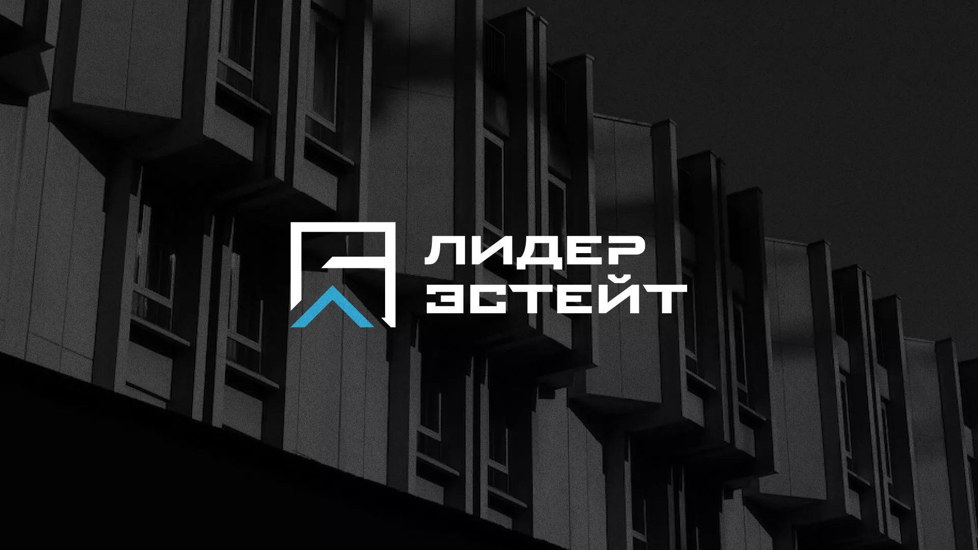 Разработка логотипа агентства недвижимости «Лидер Эстейт» в Рязани
